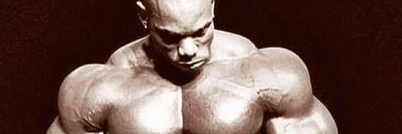 msechu88's profile banner image