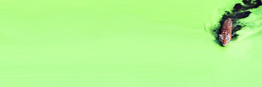 BVinolan's profile banner image