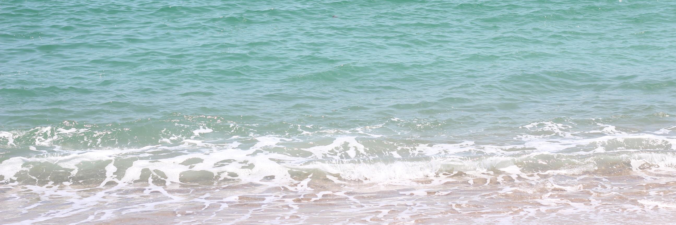 brooketolly's profile banner image