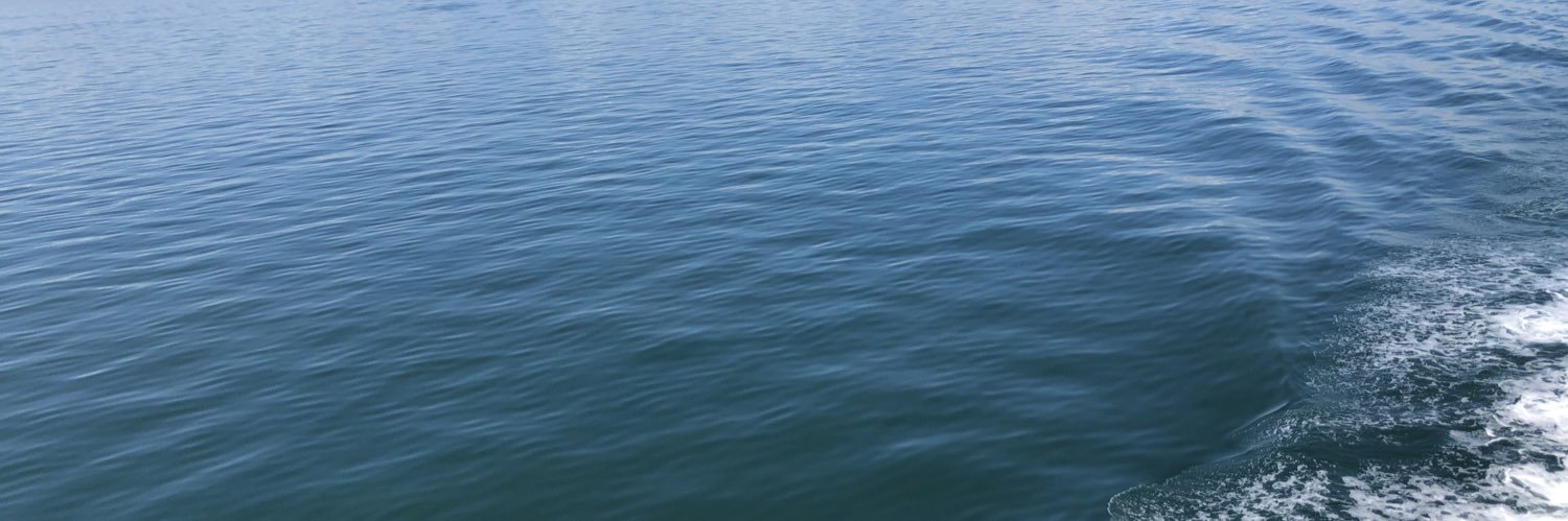 nosikosann's profile banner image