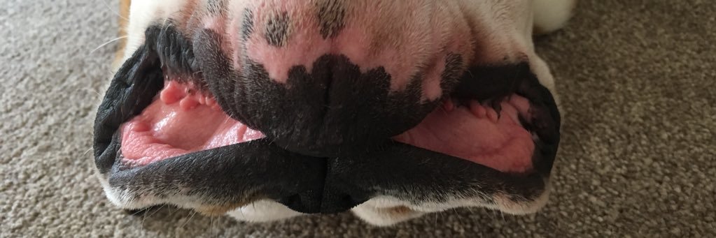 mk2stretch's profile banner image