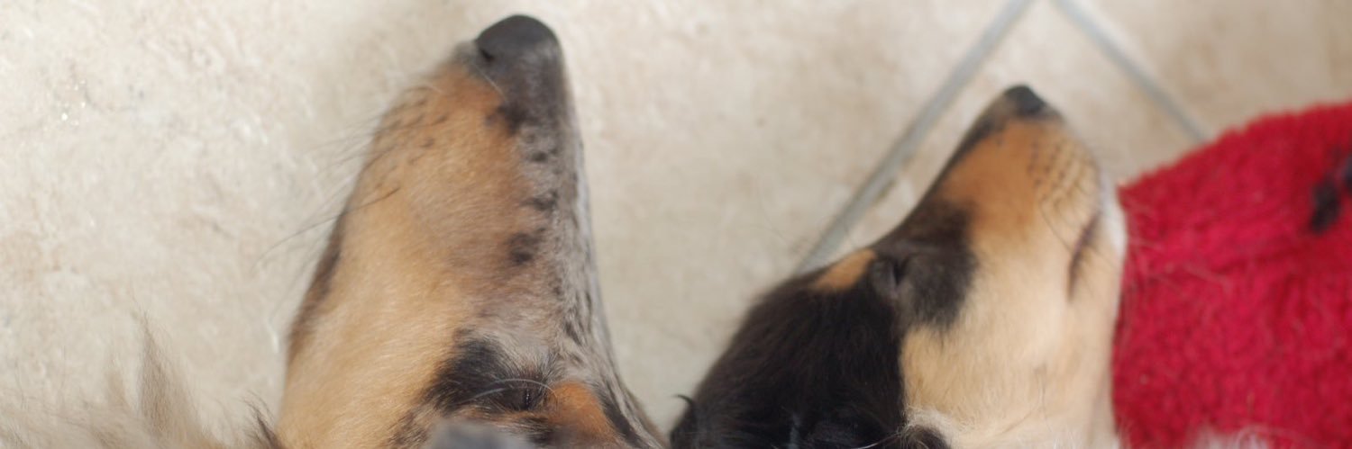 👋richardbj@bsky.social👋 banner