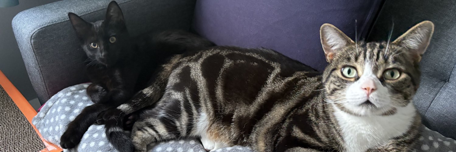 Danielle 💕 banner