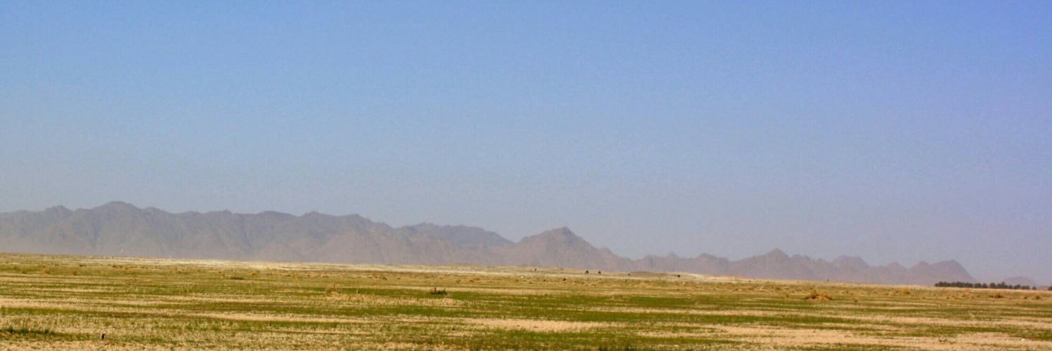 sadsad1423's profile banner image