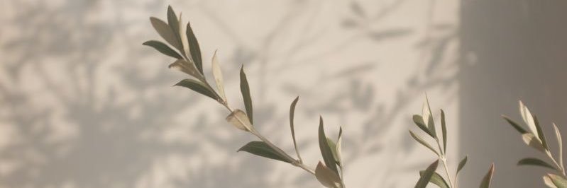 2011Aboor's profile banner image