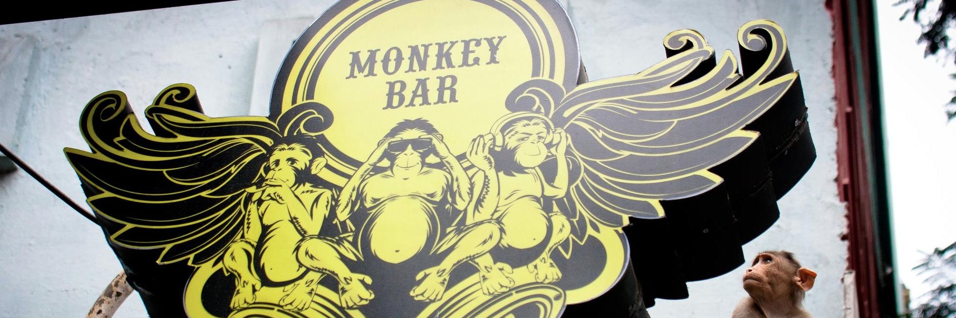 MonkeyBarBlr banner