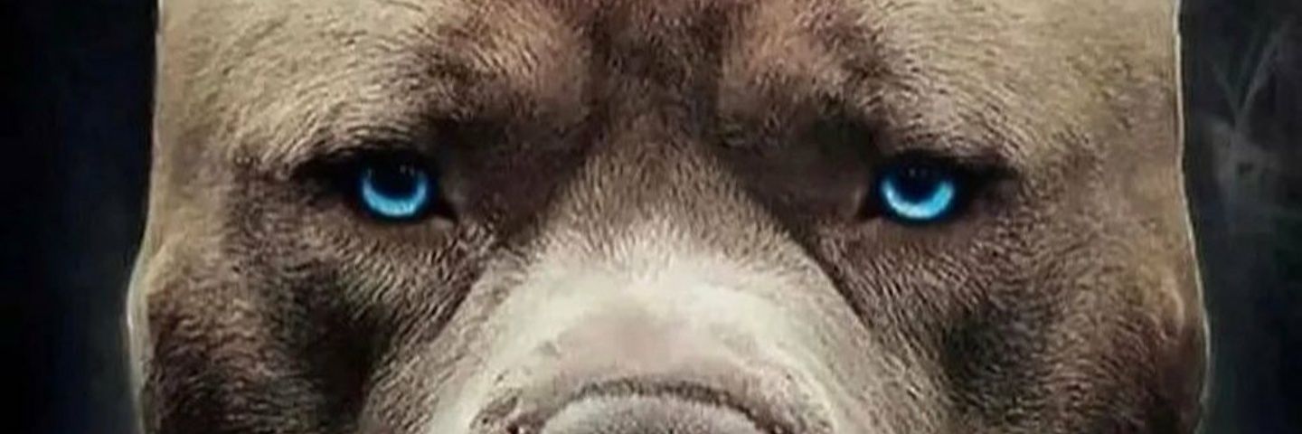 TeamGifted512's profile banner image