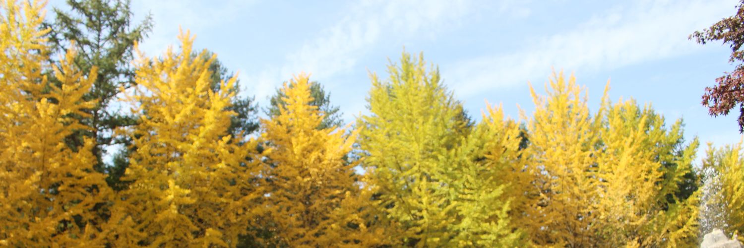 utamiyuliani's profile banner image