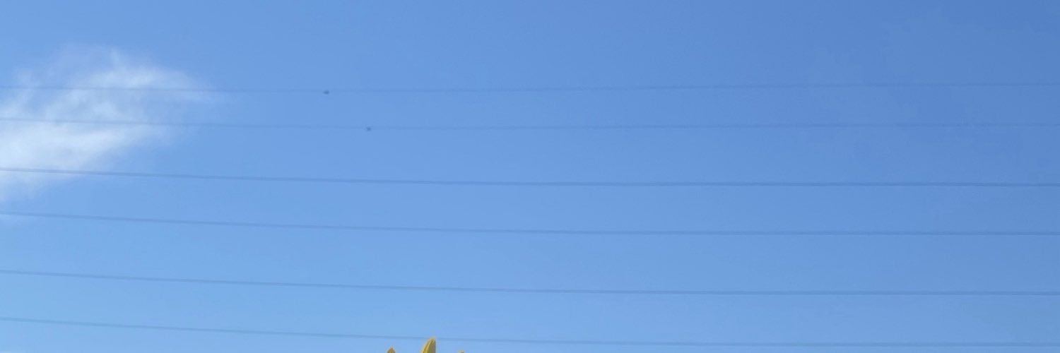 ejunkie9912's profile banner image