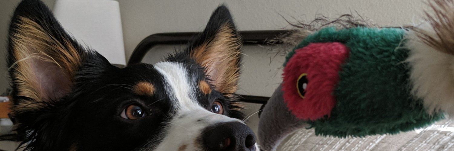 StillBNR's profile banner image