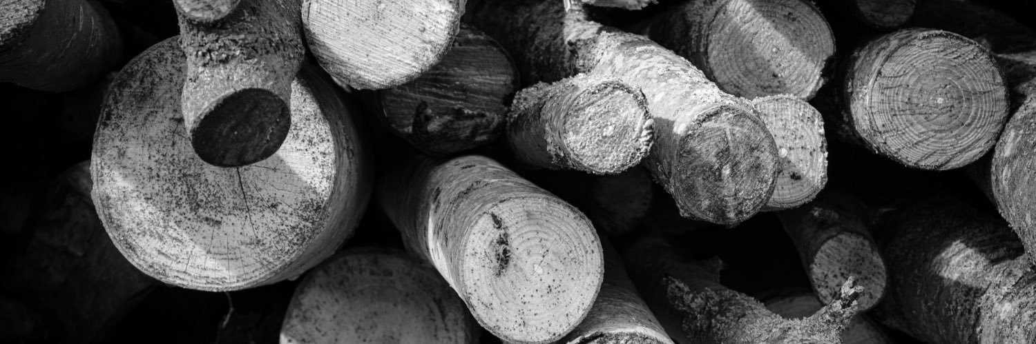 Bumrows's profile banner image