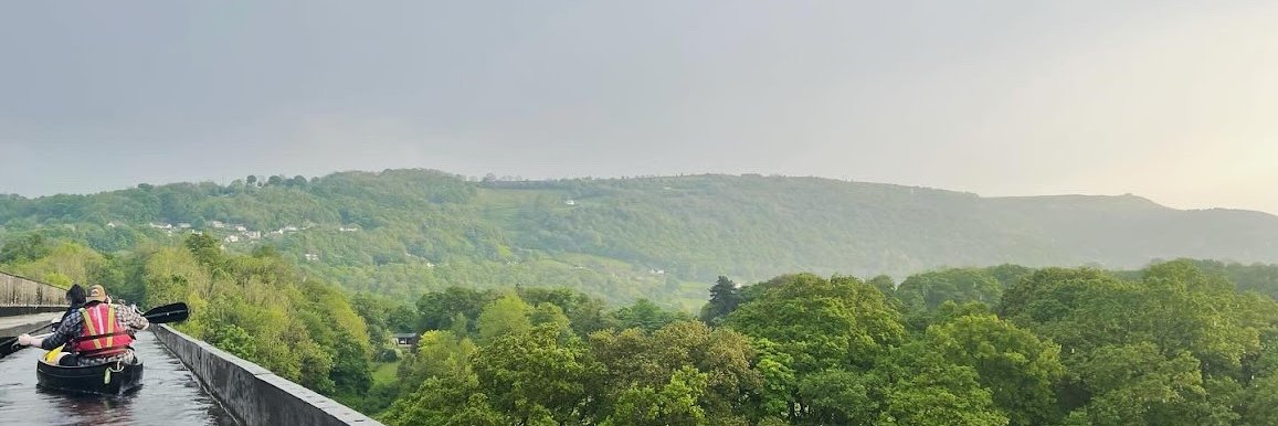 Tony Ferguson banner