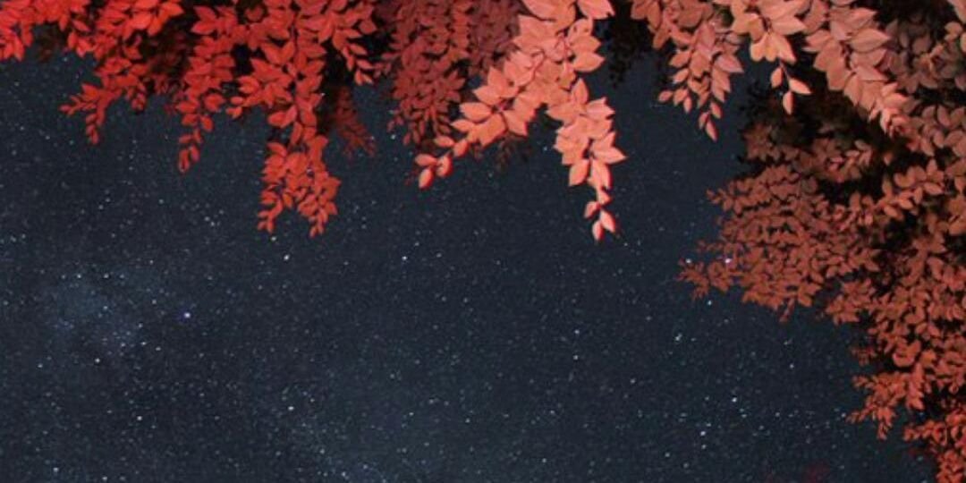 imgsan's profile banner image