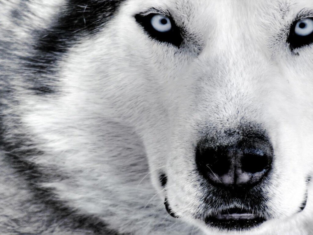 jhoantp's profile banner image