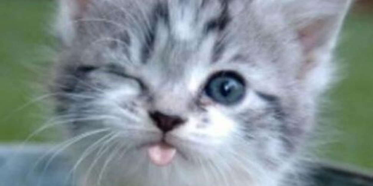 xoren20's profile banner image