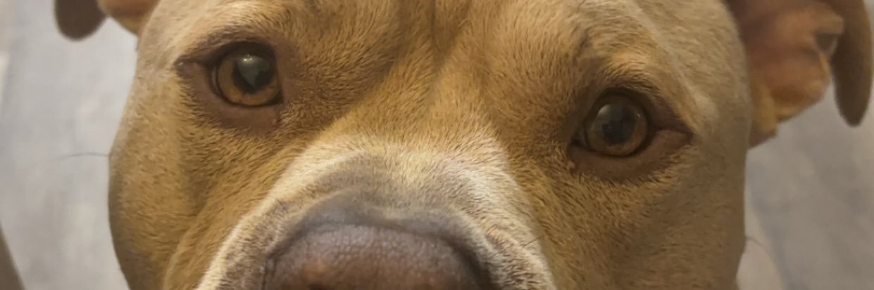 JellyMathes's profile banner image