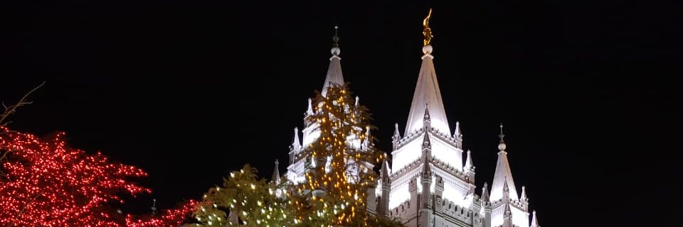 MindCeci's profile banner image
