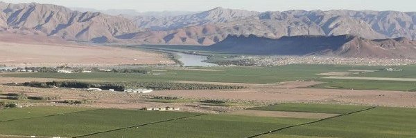 QueenOfTheSouth banner