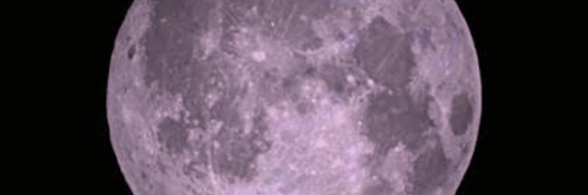 ia_murei's profile banner image