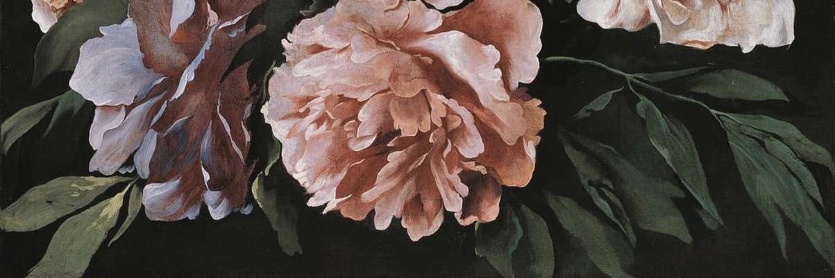 ꜱᴛʀɪɢᴀ νοσοφόρος banner