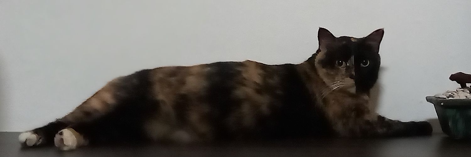 Reni_IS's profile banner image