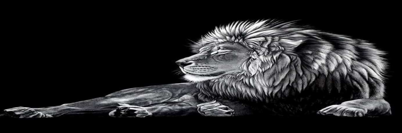 derickdevo's profile banner image