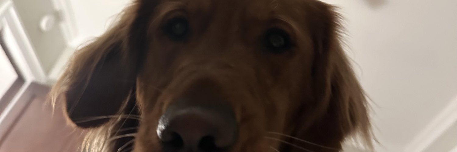 camill_ey's profile banner image