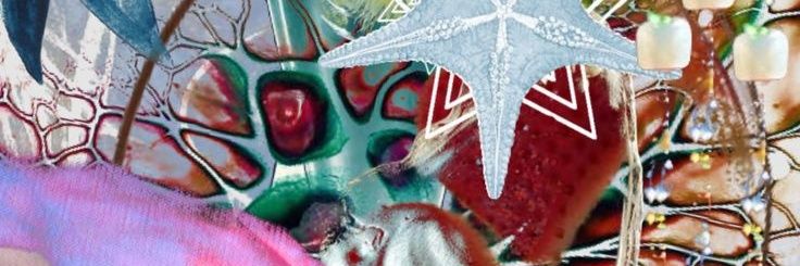 🦋 banner