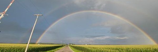 foxillinois Profile Banner