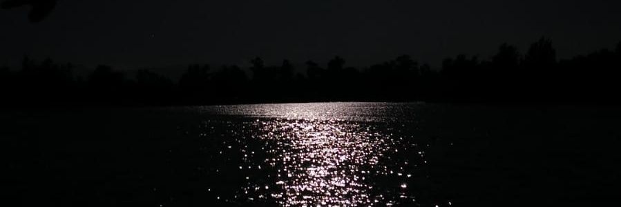 cengorak's profile banner image