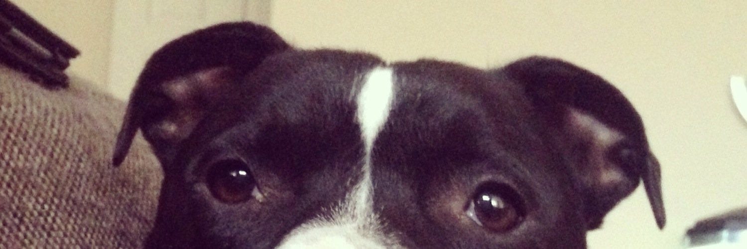 jjsuddy's profile banner image