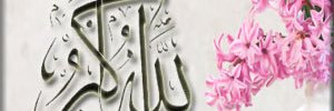 sultanh banner