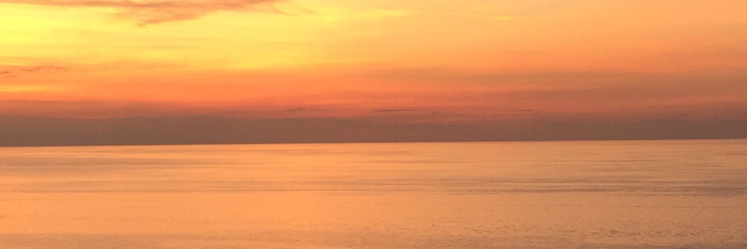 kimicals's profile banner image