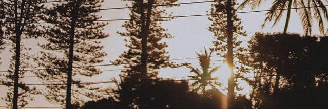 Joycebezerra_'s profile banner image
