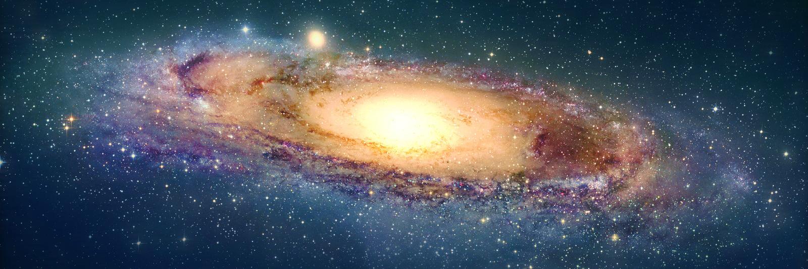 Alexander Kucheria banner