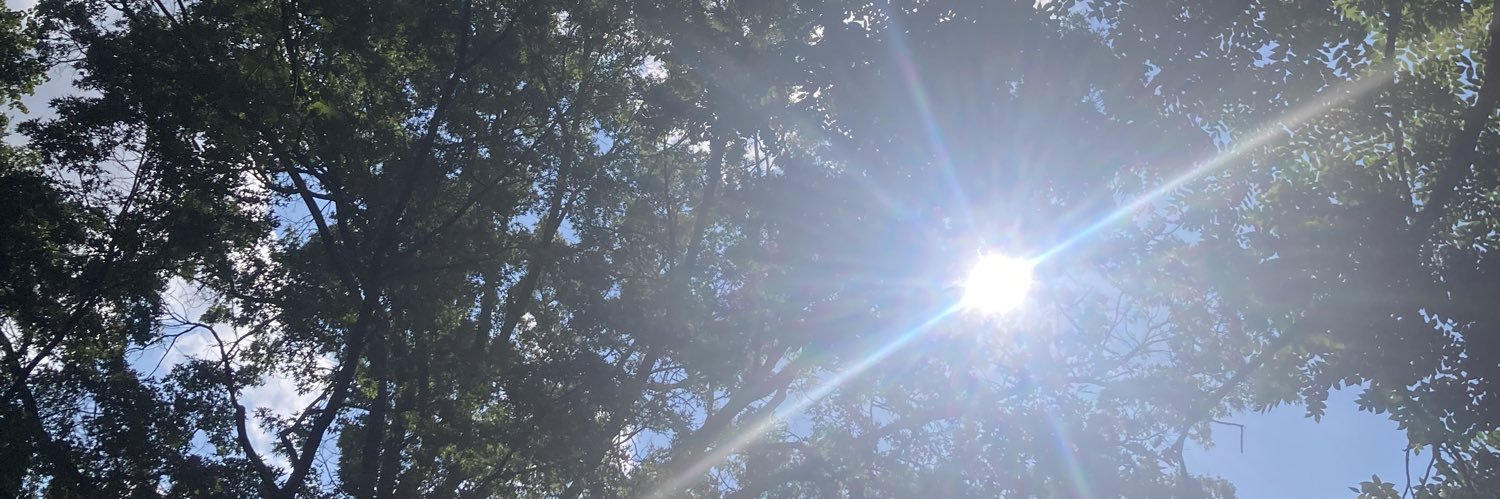 anamguarnizoa's profile banner image