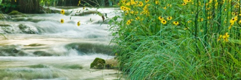 IT_Kelly's profile banner image