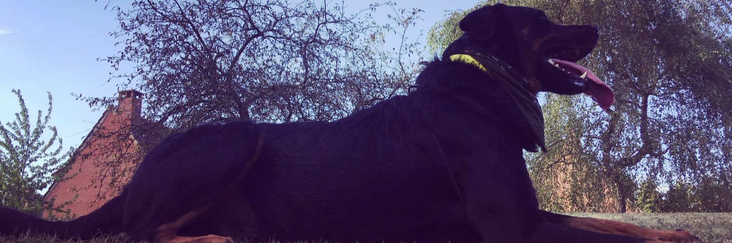 AnaisDepienne's profile banner image