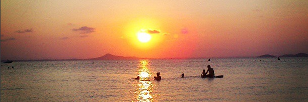 MLaPulga's profile banner image