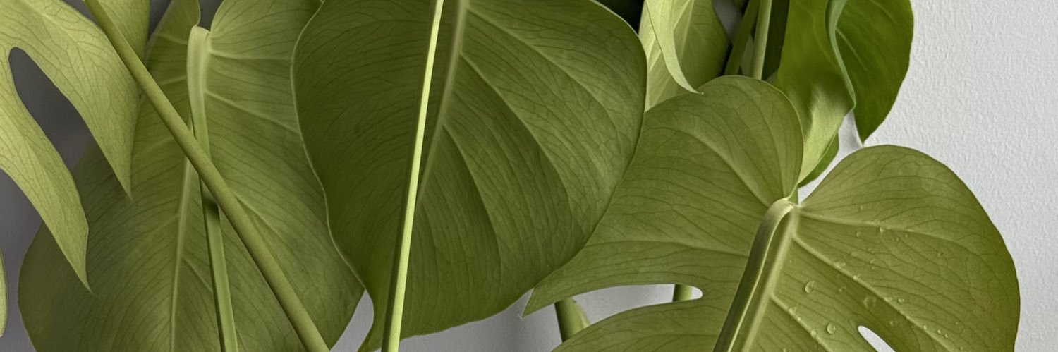 peluu_a's profile banner image