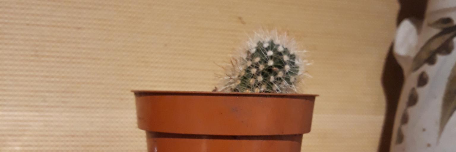 danielnsmith's profile banner image