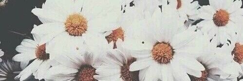 Saraii_lm's profile banner image