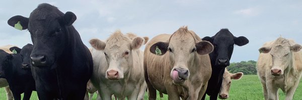 jessjackson11 Profile Banner