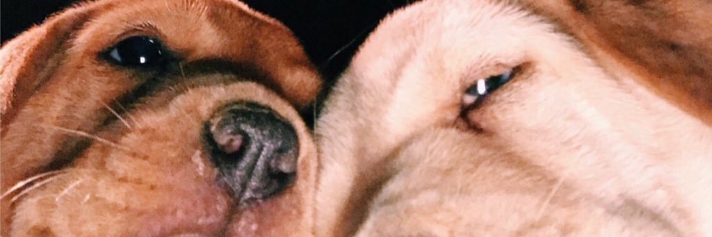 loudlc23's profile banner image