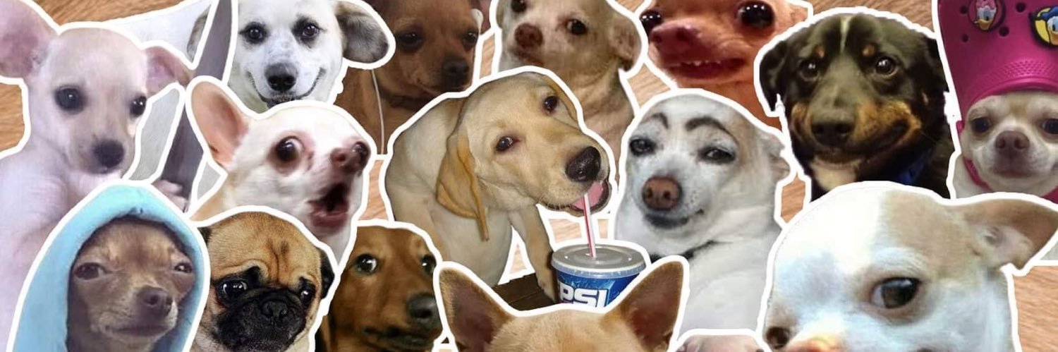 flipfern's profile banner image