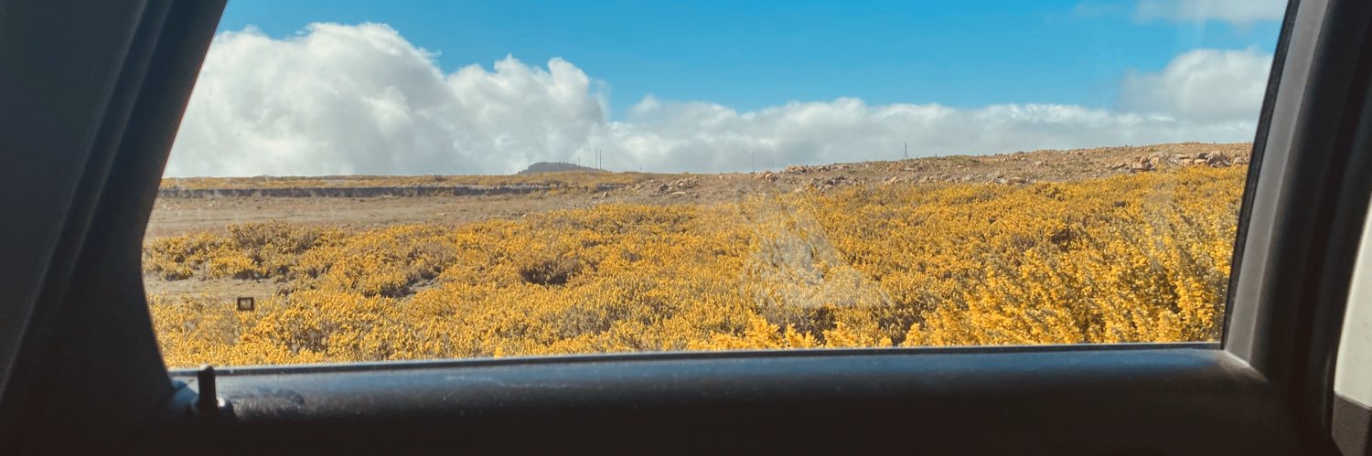 noeeelyds_'s profile banner image