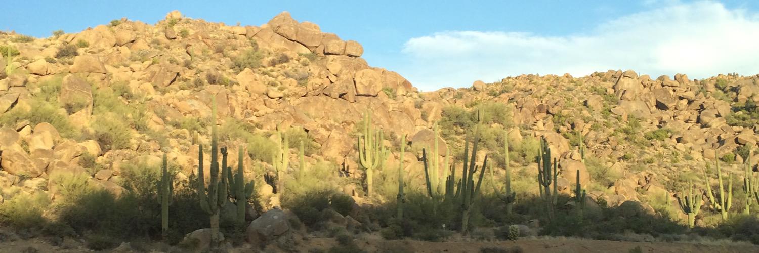 CountryKritter's profile banner image