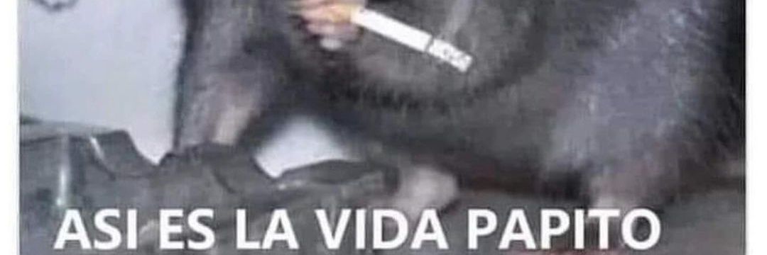 santisanchezB's profile banner image
