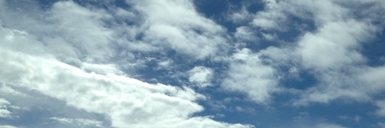 swallowtail_h's profile banner image