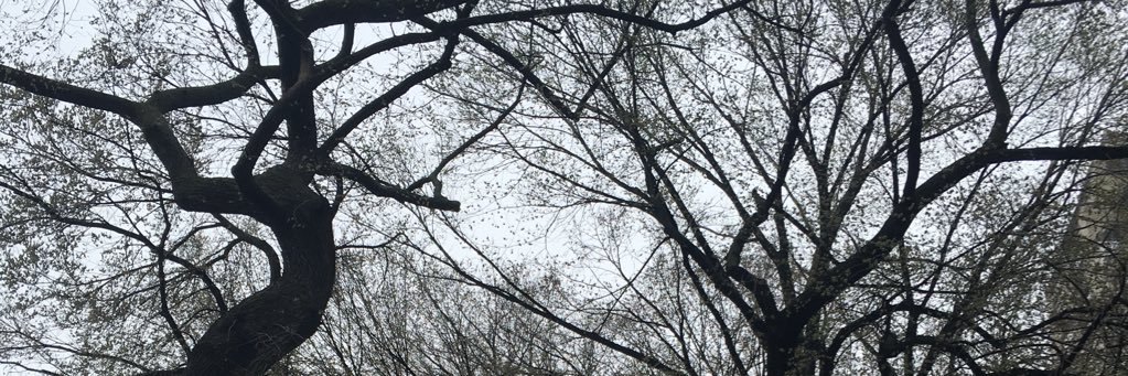 QuietKilljoy banner